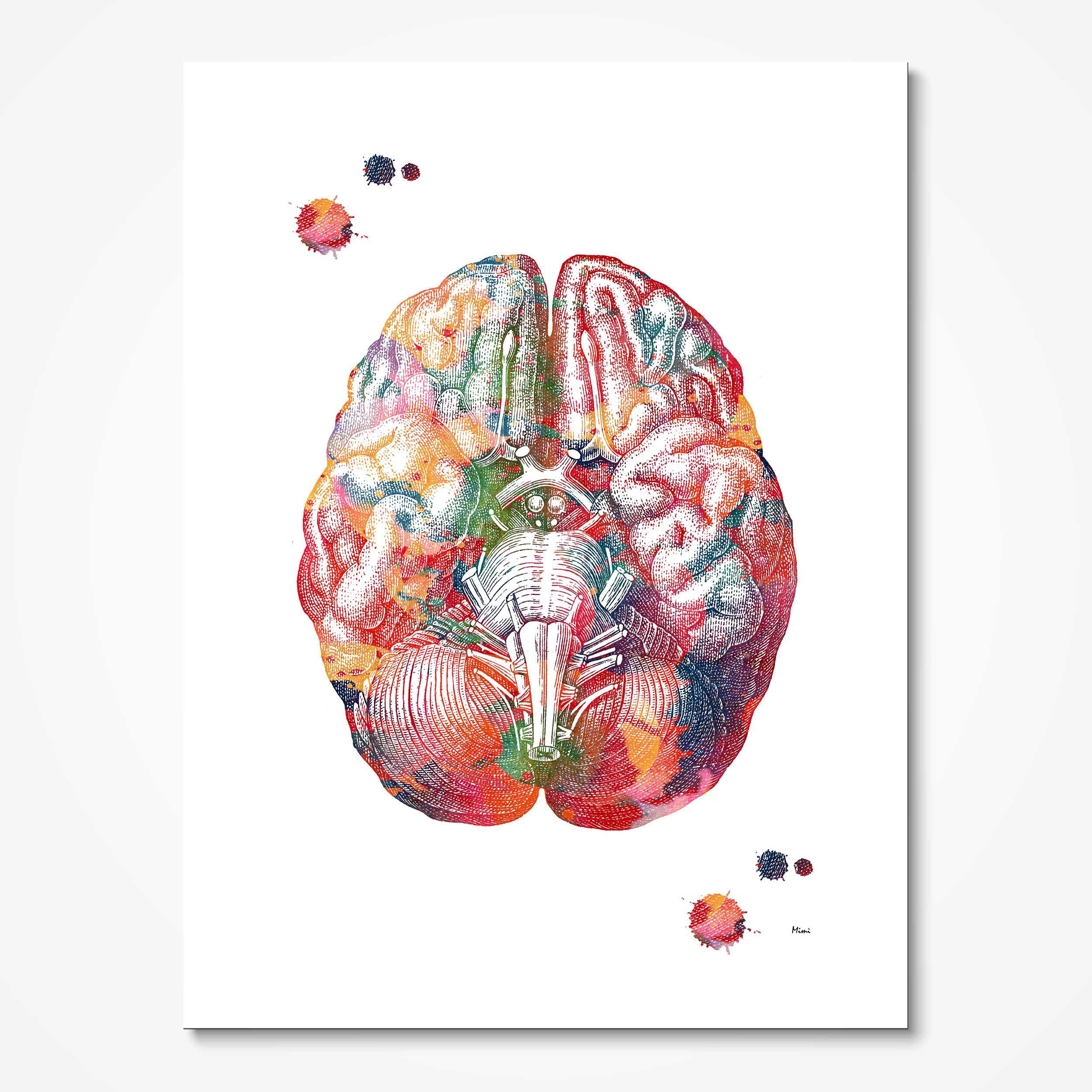 Brains Are The New Tits posters & Art Prints de Abstract - Printler