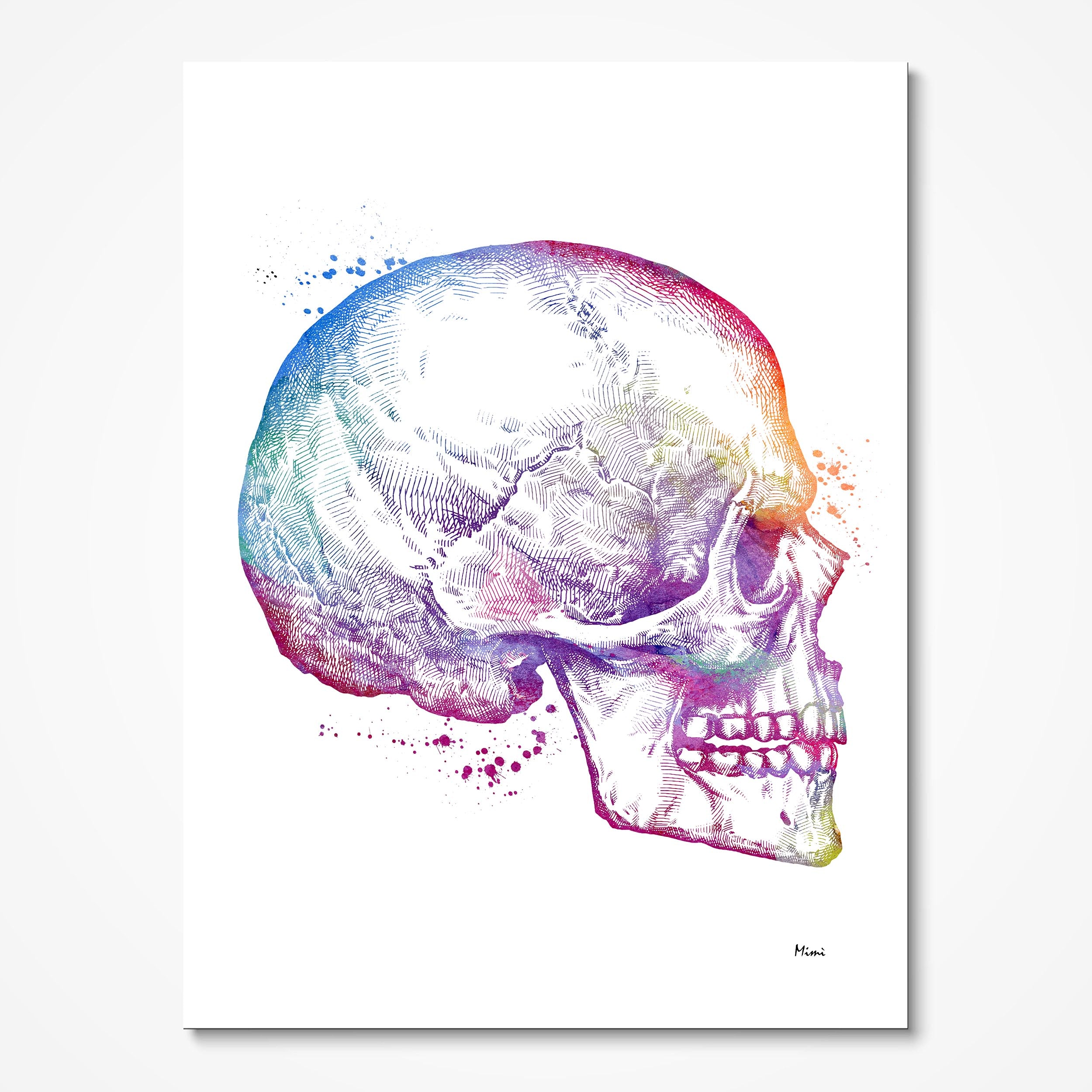 a watercolor painting of a human skull