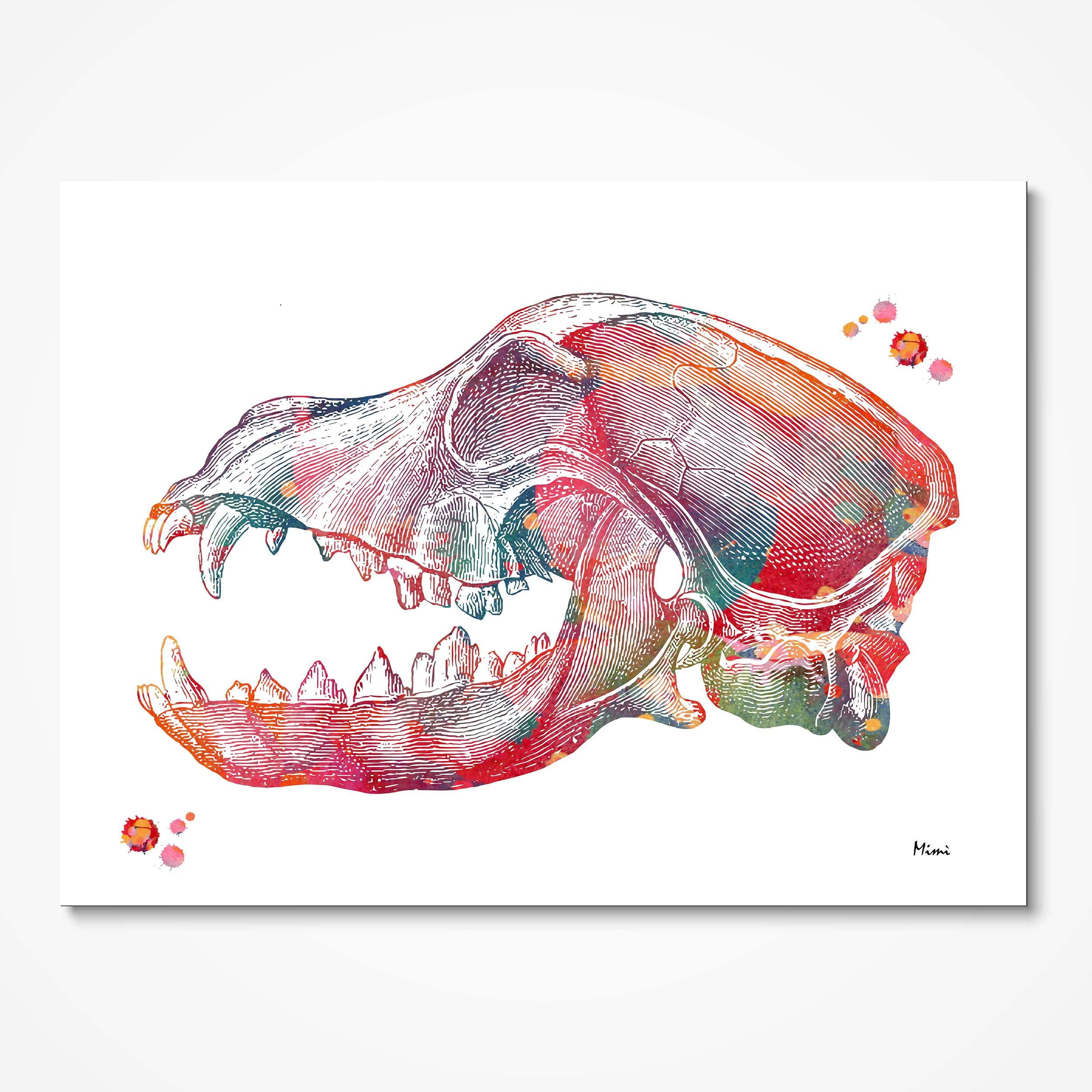 a watercolor drawing of a skull with teeth