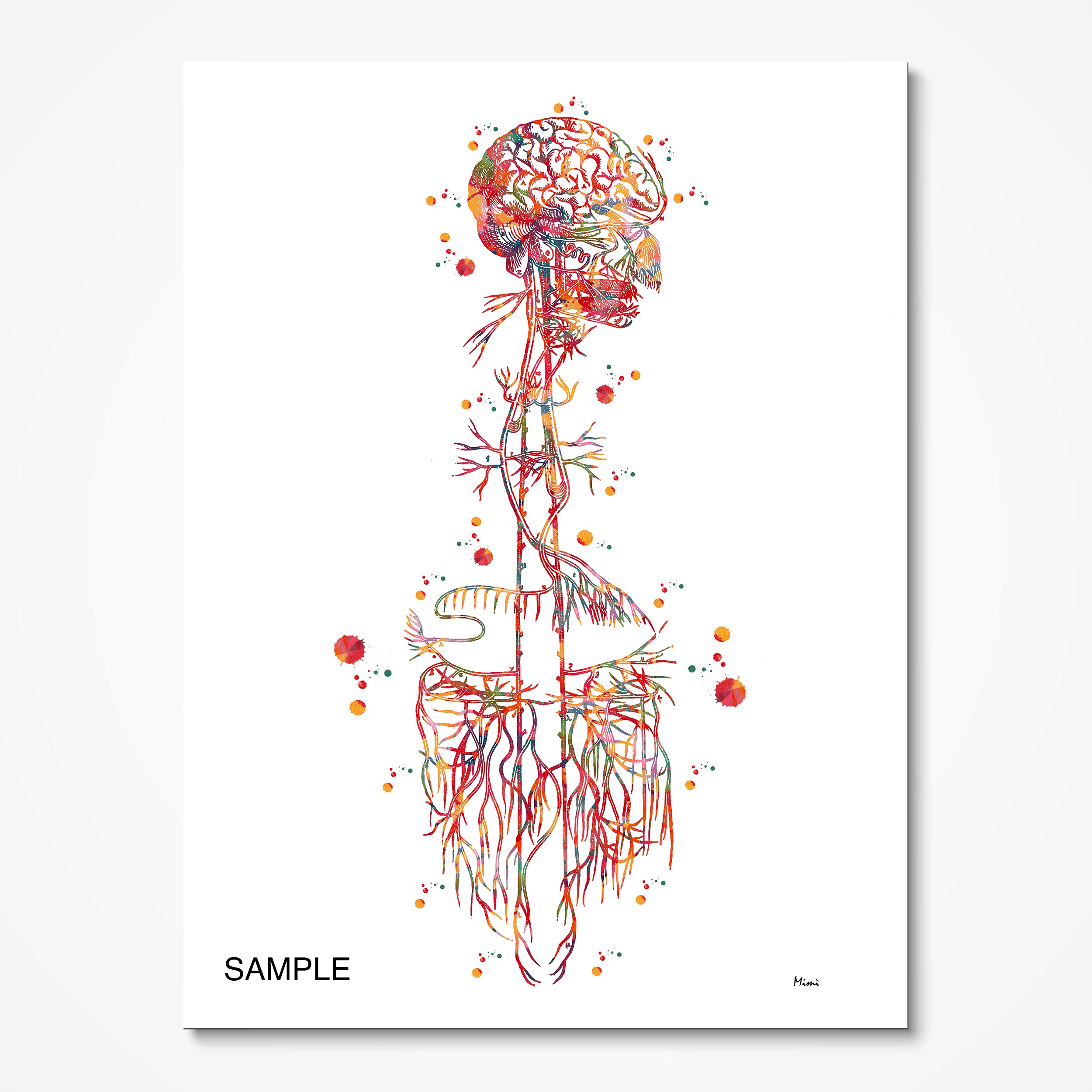 a poster with a drawing of a human brain