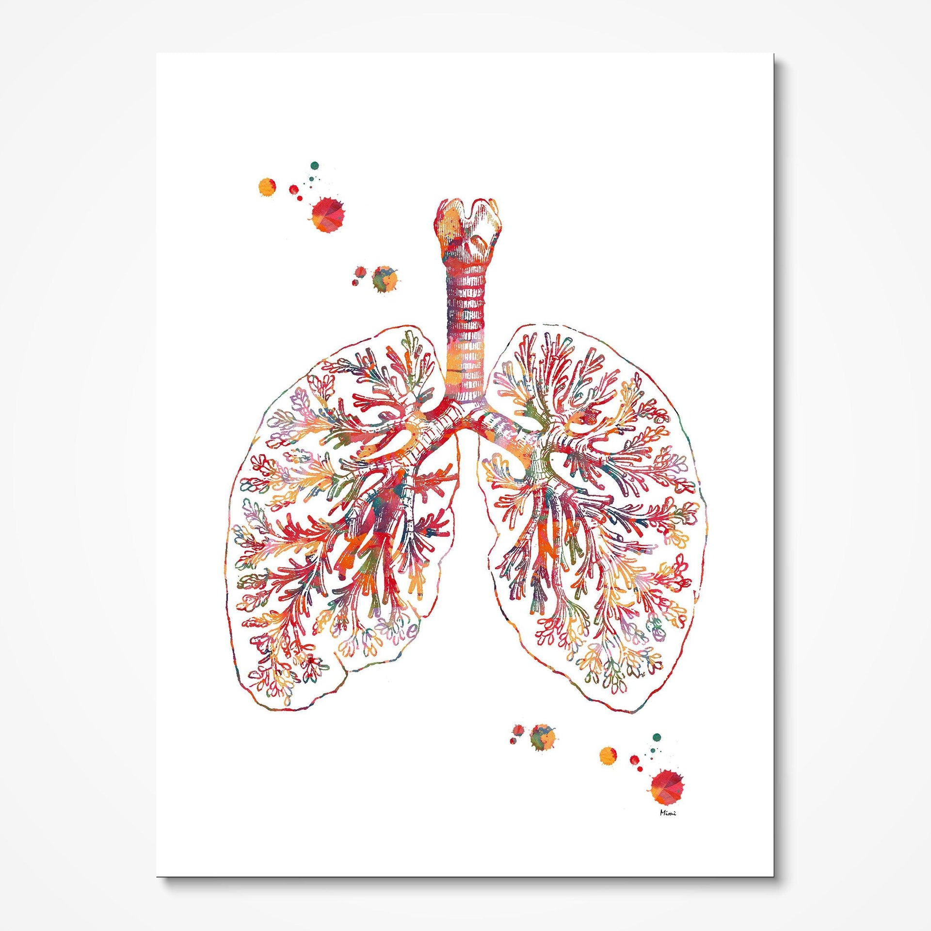 Anatomical Lungs Abstract Anatomy Art Print – MimiPrints Anatomy Prints ...