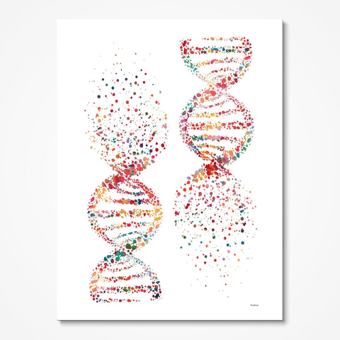 Colorful Anatomy Art And Science Prints | MimiPrints – MimiPrints ...